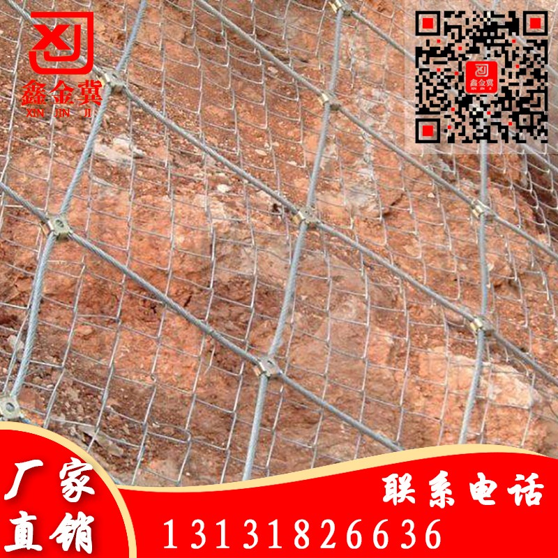主動(dòng)網(wǎng)、鋼絲繩網(wǎng).jpg