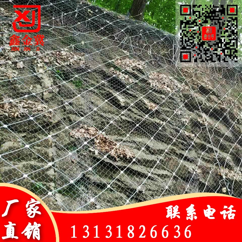 主動防護(hù)網(wǎng).jpg