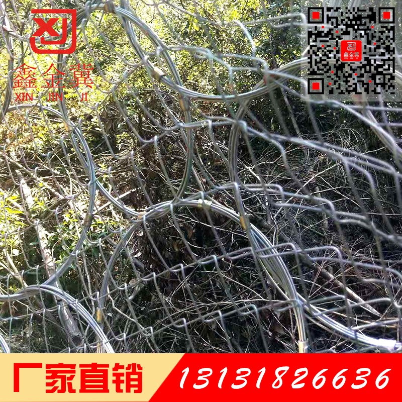 環(huán)形邊坡防護(hù)網(wǎng).jpg