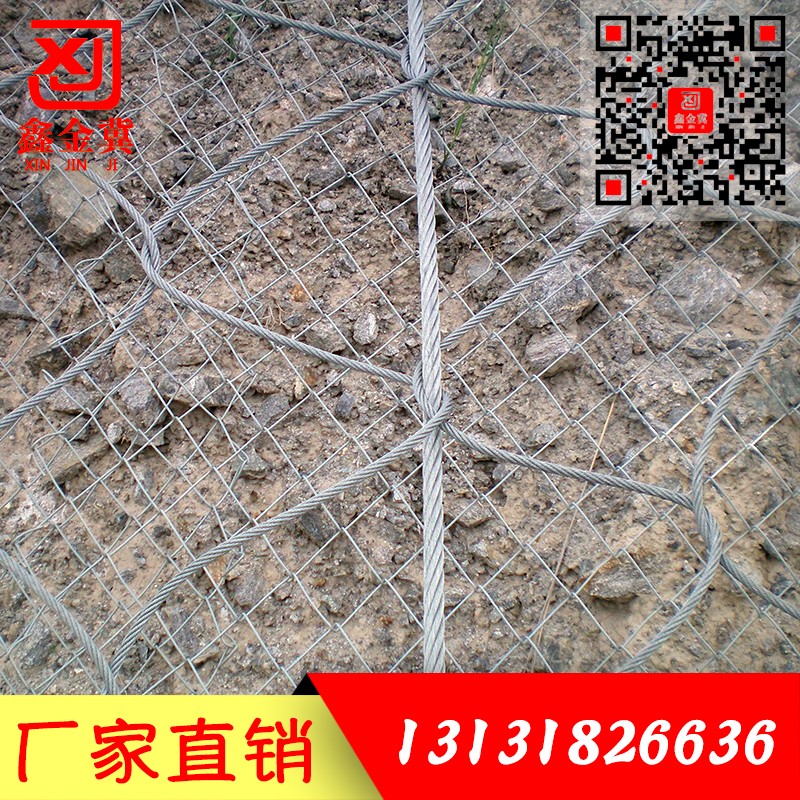 主動防護網(wǎng).jpg